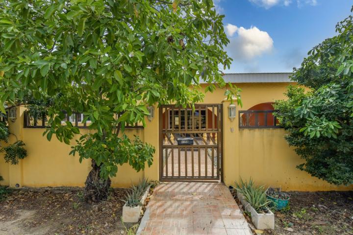 Palm Beach 114-B photo 5