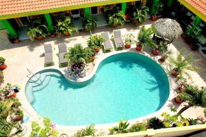 Tropical Oasis Happy Days photo 4